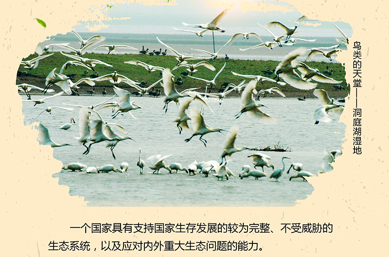 生态安全.jpg